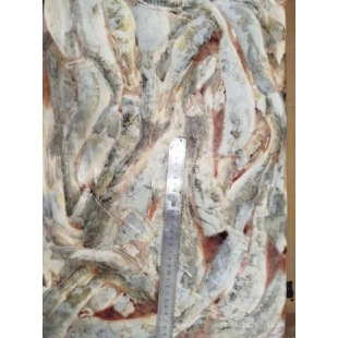 Навага б/г 19+ 1/22 Россия