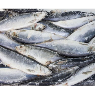 СЕЛЬДЬ атлант. нераздел. слабосоленая 400+ 1/4,2