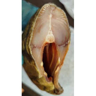 Саворин (серебристая варехоу) холодного копчения