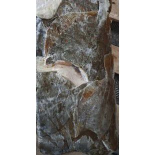 Камбала с/м ПБГ 1- кг 1/30  Россия