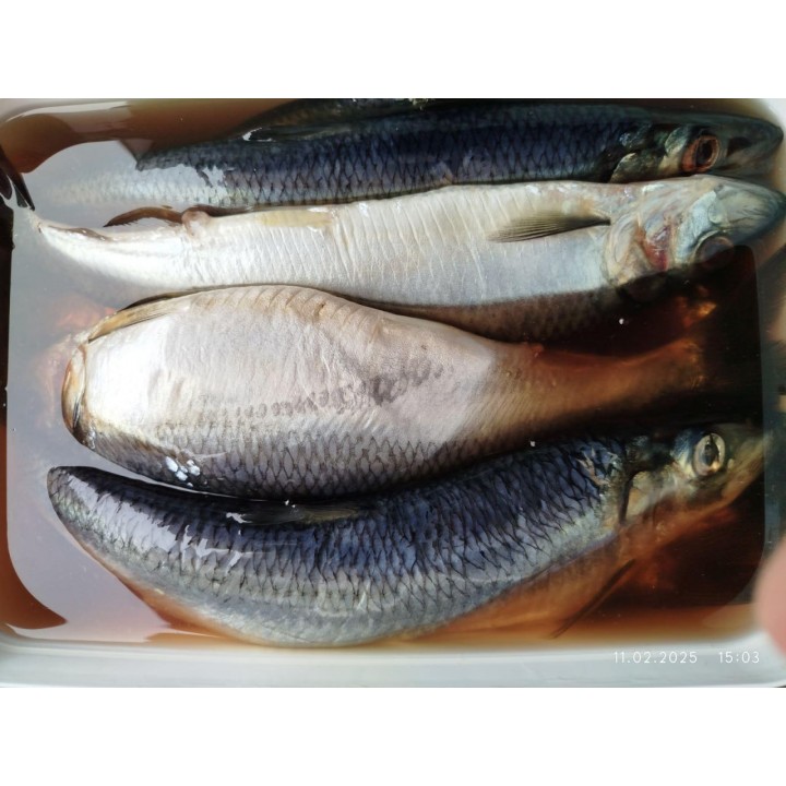 СЕЛЬДЬ атлант. нераздел. слабосоленая 400+ 1/4,2